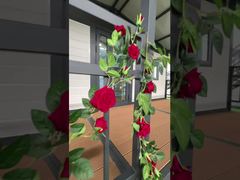 20フィート キャノピー折りたたみハウス